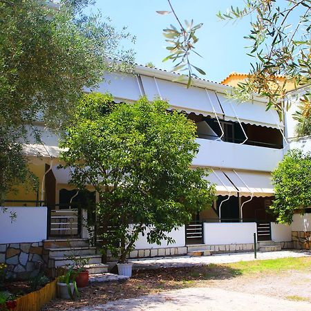 Nikolas Studios Áyios Nikítas Dış mekan fotoğraf